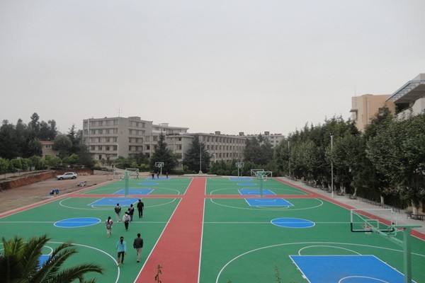 金華硅PU球場施工：打造專業(yè)運動空間的精工